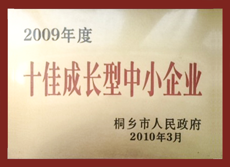 2009年度十佳成長型中小企業(yè)